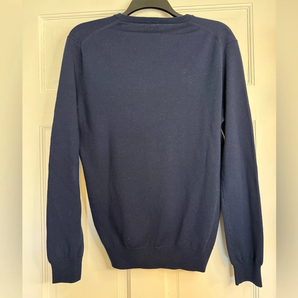 J. Crew Merino Wool V-neck Sweater